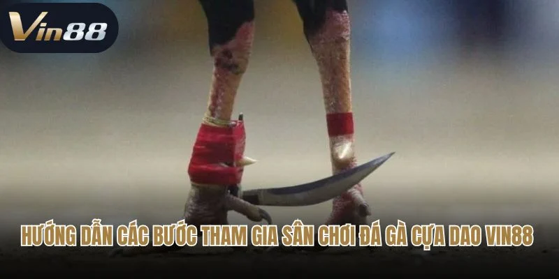 Hướng dẫn các bước tham gia sân chơi đá gà cựa dao Vin88